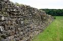 Wales (262)